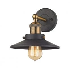 English Pub 1-Light Tarnished Graphite and Antique Brass Vanity Light by Titan Lighting