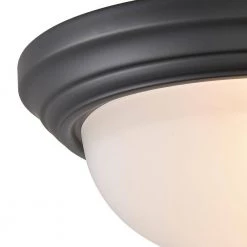13 in. 2-Light Black Flush Mount by Titan Lighting 7 13 in. 2-Light Black Flush Mount by Titan Lighting -Titan Lighting sale2022 black titan lighting flush mount lights tnfm 020210617 4f 1000