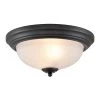 13 in. 2-Light Black Flush Mount by Titan Lighting
