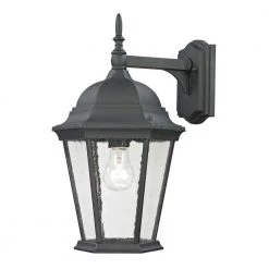 Temple Hill 1-Light Outdoor Matte Textured Black Sconce by Titan Lighting