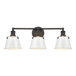 Holgate 24 in. 3-Light Charcoal Vanity Light by Titan Lighting