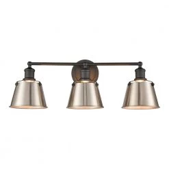Holgate 24 in. 3-Light Charcoal Vanity Light by Titan Lighting