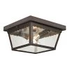 Springfield 2-Light Hazelnut Bronze Outdoor Flushmount by Titan Lighting 2 Springfield 2-Light Hazelnut Bronze Outdoor Flushmount by Titan Lighting -Titan Lighting sale2022 hazelnut bronze titan lighting outdoor flush mount lights tn 50186 64 1000