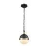 Harmelin 1-Light Matte Black and Satin Brass Pendant by Titan Lighting