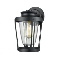 Fullerton 1-Light Matte Black with Clear Glass Outdoor Wall Mount Sconce by Titan Lighting