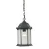 Spring Lake 1-Light Matte Textured Black Outdoor Pendant by Titan Lighting 1 Spring Lake 1-Light Matte Textured Black Outdoor Pendant by Titan Lighting -Titan Lighting sale2022 matte textured black titan lighting outdoor pendant lights tn 50177 64 1000