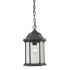 Spring Lake 1-Light Matte Textured Black Outdoor Pendant by Titan Lighting