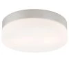 Disc 2-Light Metallic Grey Flushmount with Frosted Glass by Titan Lighting -Titan Lighting sale2022 metallic grey titan lighting flush mount lights tn 92096 64 1000