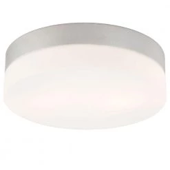 Disc 2-Light Metallic Grey Flushmount with Frosted Glass by Titan Lighting