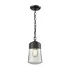 Mullen Gate Oil Rubbed Bronze 1-Light Outdoor Hanging Pendant by Titan Lighting -Titan Lighting sale2022 oil rubbed bronze titan lighting outdoor pendant lights tn 473753 64 1000