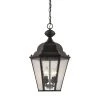 Cotswold 4-Light Oil Rubbed Bronze Outdoor Hanging Lamp by Titan Lighting 2 Cotswold 4-Light Oil Rubbed Bronze Outdoor Hanging Lamp by Titan Lighting -Titan Lighting sale2022 oil rubbed bronze titan lighting outdoor pendant lights tn 60280 64 1000
