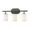 Pemlico 3-Light Oil Rubbed Bronze with White Glass Bath Light by Titan Lighting 1 Pemlico 3-Light Oil Rubbed Bronze with White Glass Bath Light by Titan Lighting -Titan Lighting sale2022 oil rubbed bronze titan lighting vanity lighting tn 473679 64 1000
