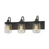 Hamel 3-Light Oil Rubbed Bronze with Clear Seedy Glass Bath Light by Titan Lighting