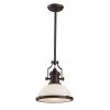 Chadwick 1-Light Oiled Bronze Pendant by Titan Lighting 1 Chadwick 1-Light Oiled Bronze Pendant by Titan Lighting -Titan Lighting sale2022 oiled bronze titan lighting chandeliers tn 13149 64 1000