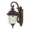 Lafayette 1-Light Regal Bronze Outdoor Sconce by Titan Lighting
