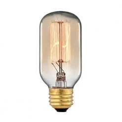 Ogden Collection 60-Watt Incandescent T6 Medium Base Vintage Filament Light Bulb by Titan Lighting
