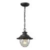 Searsport 1-Light Weathered Charcoal Outdoor Pendant by Titan Lighting 1 Searsport 1-Light Weathered Charcoal Outdoor Pendant by Titan Lighting -Titan Lighting sale2022 weathered charcoal titan lighting outdoor pendant lights tn 8400 64 1000