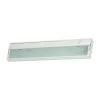 Aurora 2-Light White Under Cabinet Light by Titan Lighting 2 Aurora 2-Light White Under Cabinet Light by Titan Lighting -Titan Lighting sale2022 white titan lighting under cabinet lights tn 60324 64 1000